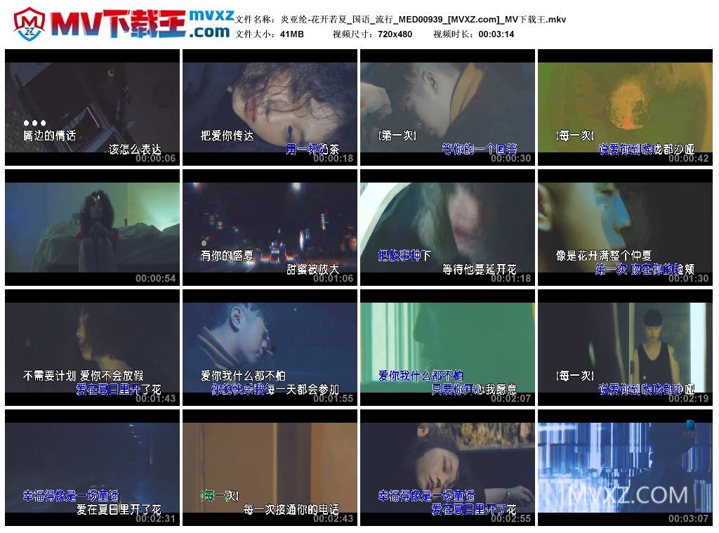 炎亚纶-花开若夏_国语_流行_MED00939